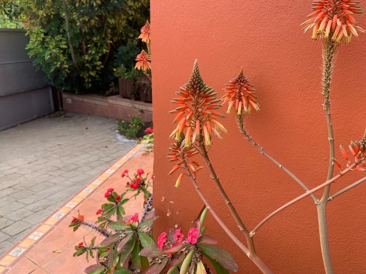La Casita De Descanso - Das Haeuschen Der Ruhe - La Luz - La Orotava Ngoại thất bức ảnh